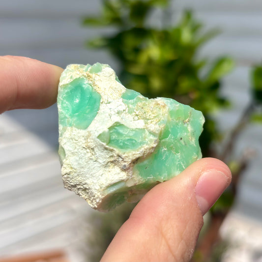 Chrysopras aus Schlesien