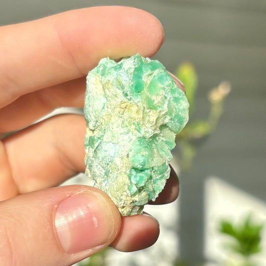 Chrysopras aus Schlesien