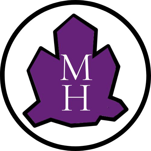 Mineralien Hotze